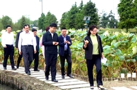曲福田市长 等领导视察水八仙生态园